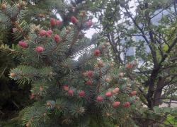 Прогноз погоды, именины, праздники в Астрахани в воскресенье 7 мая