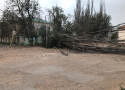 Во время бури на 10-летнюю астраханку упало дерево