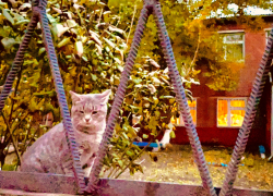 Погода, праздники, именины в пятницу 3 ноября