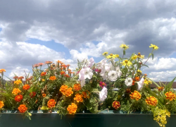 Прогноз погоды, именины, праздники в Астрахани во вторник 27 июня