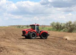 Астраханская область увеличит рисовые поля в шесть раз