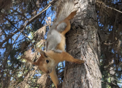 Погода, праздники, именины в понедельник 27 мая