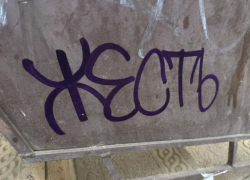 Астраханец вместе с другом разгромил чужую квартиру в прямом эфире