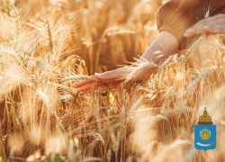 Астраханцам рассказали о высоких зарплатах в сельском хозяйстве