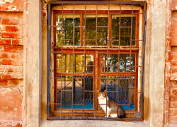 Погода, праздники, именины во вторник 31 октября