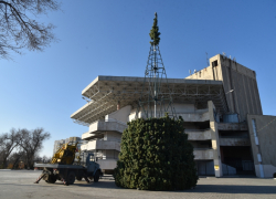 В Астрахани в парке «Аркадия» начали ставить главную елку города