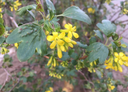 Прогноз погоды, именины, праздники в Астрахани в понедельник 10 апреля