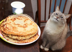 Астраханцам рассказали, как безопасно выбрать продукты к Масленице