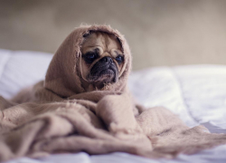 На Астрахань надвигается похолодание