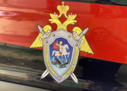 Астраханца задержали во время перевозки мертвого животного из Красной книги