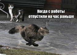 Астраханцы признались, чем займутся, если их отпустят с работы пораньше