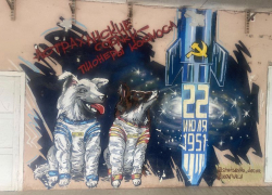 Голландский блогер предложил парковать собак в Астрахани 