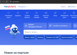 Астраханцы пожаловались на кражи личных кабинетов в госуслугах