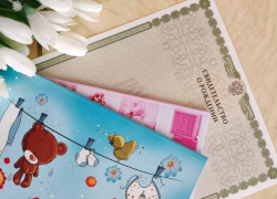 В 2023 году в Астраханской области родилась 81 двойня