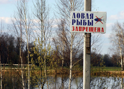 В Астраханской области установлены запретные для рыбалки места