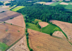 В Астраханской области чиновник передал сельхозучасток в аренду за крупную взятку