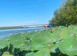 Погода, праздники, именины в среду 20 сентября