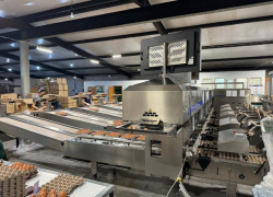 Шесть астраханских компаний добились успеха благодаря федеральному проекту