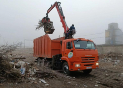 Астраханцам рекомендовали выносить елки на мусорные площадки