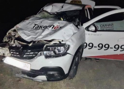 Под Астраханью таксист въехал в табун лошадей