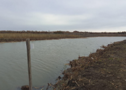 Расчистку четырех ильменей под Астраханью завершат в 2024 году