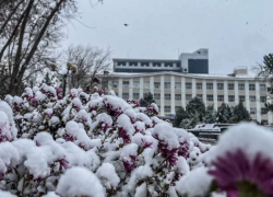 Погода, праздники, именины в пятницу 8 декабря