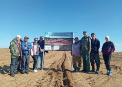 Землям Астраханской области вернут зелень: принимаются меры против опустынивания