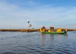 В ильмень под Астраханью выпустили 220 крякв