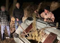 Астраханца могут посадить за 4 стерляди, пойманных незаконно 