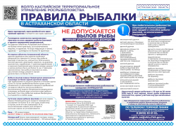 В Астраханской области введут нерестовый запрет: что это значит