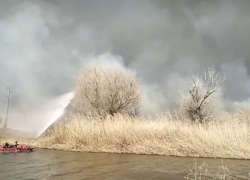 Трехдневный пожар в астраханском заповеднике удалось остановить
