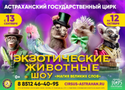 В Астраханском цирке пройдет фееричное шоу «Магия великих слов»