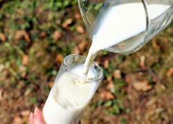 В Астрахани продают очень редкое молоко