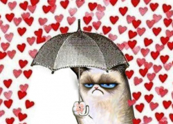 69% опрошенных астраханцев отказываются праздновать День святого Валентина