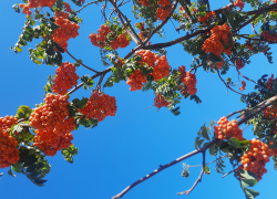 Погода, праздники, именины в пятницу 22 сентября