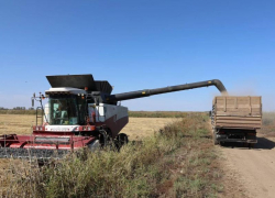 Масштабные планы: в Астраханской области соберут 36 тысяч тонн зерна