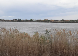 Астраханская область отстояла снижение сбросов с Волжской ГЭС для спасения рыбы