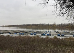 С 2026 года объем поддержки фермеров в Астраханской области удвоят