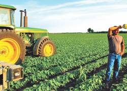 В Астраханской области муниципальное образование сдавало в аренду землю, нарушая закон