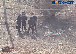 В Астрахани обнаружили изгрызенный собаками труп мужчины