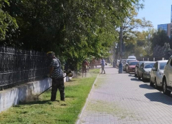 На улицах Астрахани продолжают косить сорняки