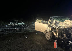 Под Астраханью корова спровоцировала ДТП: водитель погиб