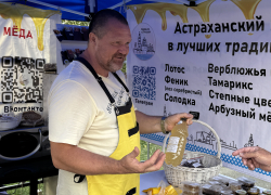 В Астрахани проходит первый фестиваль уличной еды: фоторепортаж