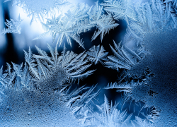 Гисметео: в Астраханской области мороз без снега мог погубить культурные растения