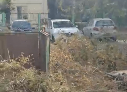 Три недели астраханцев с улицы Николая Островского беспокоят спиленные сухие ветки