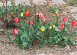 В субботу в Астрахани будет дождь: прогноз на 8 апреля