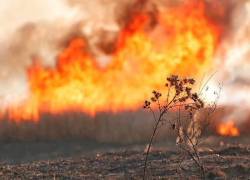 27 июня в Астраханской области ожидают 5 класс пожароопасности
