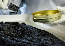 Двое астраханцев сядут в тюрьму за незаконное приобретение икры севрюги