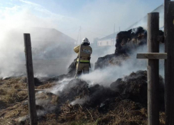 За день в Астраханской области сгорели 100 рулонов сена и квартира