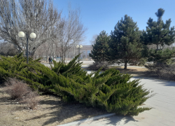 Прогноз погоды, именины, праздники в Астрахани 22 марта 